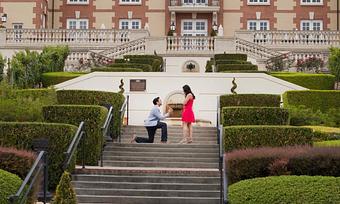 Product - Photography By Nanci Kerby in Napa, CA Misc Photographers