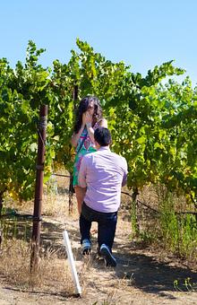 Product - Photography By Nanci Kerby in Napa, CA Misc Photographers