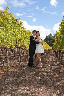 Product - Photography By Nanci Kerby in Napa, CA Misc Photographers