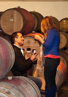 Product - Photography By Nanci Kerby in Napa, CA Misc Photographers