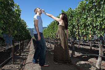 Product - Photography By Nanci Kerby in Napa, CA Misc Photographers