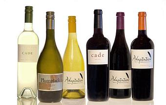 Product - Photography By Nanci Kerby in Napa, CA Misc Photographers