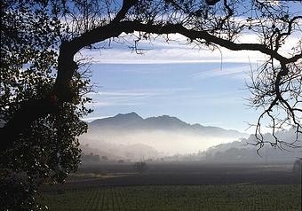 Product - Photography By Nanci Kerby in Napa, CA Misc Photographers