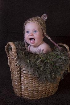 Product - Photography By Nanci Kerby in Napa, CA Misc Photographers