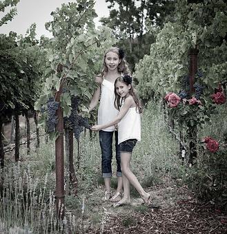 Product - Photography By Nanci Kerby in Napa, CA Misc Photographers