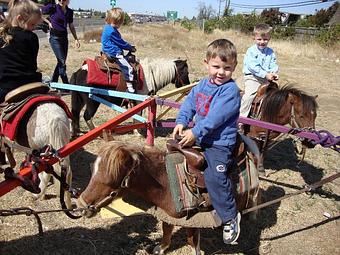 Product: Pony Rides Available in all Calfornia cities Price range for two hours - Pink Unicorn Pony Rides in Sanger, CA Entertainment & Recreation