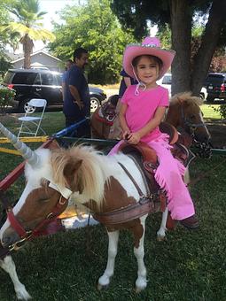 Product - Pink Unicorn Pony Rides in Sanger, CA Entertainment & Recreation