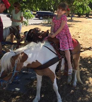 Product - Pink Unicorn Pony Rides in Sanger, CA Entertainment & Recreation