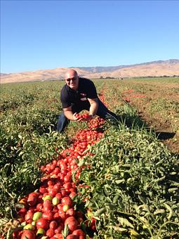 Product - Pizza One in Wayne, NJ Hamburger Restaurants