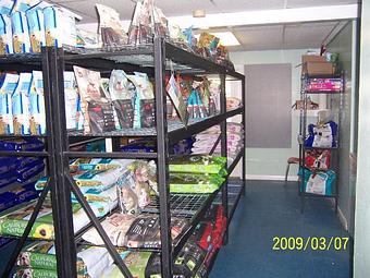 Product - Planet Doggiewood in Gadsden, AL Pet Care Services