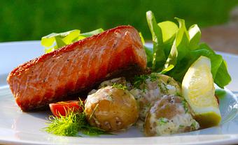 Product - Plate By Dzintra in Bee Cave Shops at the Galleria - Austin, TX American Restaurants