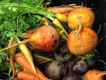 Product: Local Beets - Plate By Dzintra in Bee Cave Shops at the Galleria - Austin, TX American Restaurants