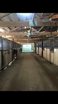 Product - Playmate Kennels And Stables in Union Grove, WI Pet Care Services