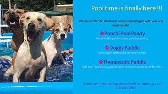 Product - Poochi Pet Resort in Lagrange, GA Pet Boarding & Grooming