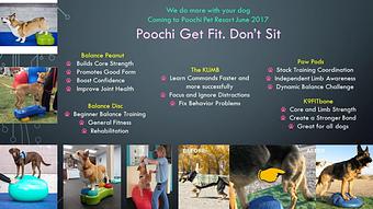 Product - Poochi Pet Resort in Lagrange, GA Pet Boarding & Grooming