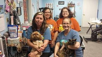 Product - Pouncing Paws in Harker Heights, TX Pet Boarding & Grooming