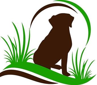 Product - Prairie Dog Canine Daycare, Grooming & Boarding in Fargo, ND Pet Boarding & Grooming