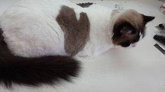 Product - Precious Moments in San Jacinto, CA Child Care & Day Care Services