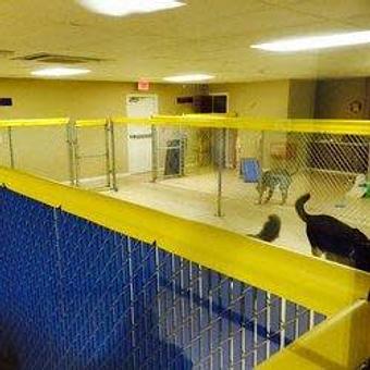 Product - Preppy Pet West Houston in Bear Creek, Colonies, Glencairn, Village News, Deerfield, Lake of Pine Forest, Windsong, Copperfield - Houston, TX Pet Care Services