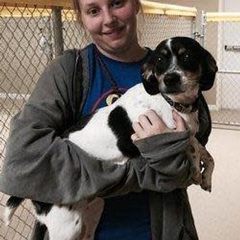 Product - Preppy Pet West Houston in Bear Creek, Colonies, Glencairn, Village News, Deerfield, Lake of Pine Forest, Windsong, Copperfield - Houston, TX Pet Care Services