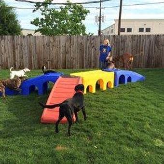 Product - Preppy Pet West Houston in Bear Creek, Colonies, Glencairn, Village News, Deerfield, Lake of Pine Forest, Windsong, Copperfield - Houston, TX Pet Care Services