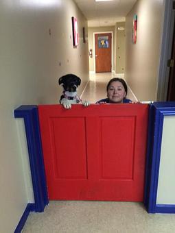 Product - Preppy Pet West Houston in Bear Creek, Colonies, Glencairn, Village News, Deerfield, Lake of Pine Forest, Windsong, Copperfield - Houston, TX Pet Care Services