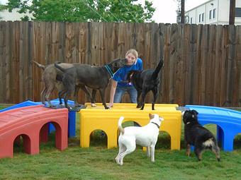 Product - Preppy Pet West Houston in Bear Creek, Colonies, Glencairn, Village News, Deerfield, Lake of Pine Forest, Windsong, Copperfield - Houston, TX Pet Care Services