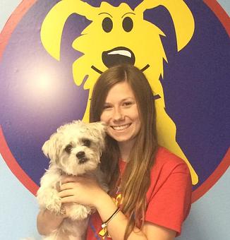 Product - Preppy Pet West Houston in Bear Creek, Colonies, Glencairn, Village News, Deerfield, Lake of Pine Forest, Windsong, Copperfield - Houston, TX Pet Care Services