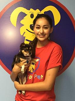 Product - Preppy Pet West Houston in Bear Creek, Colonies, Glencairn, Village News, Deerfield, Lake of Pine Forest, Windsong, Copperfield - Houston, TX Pet Care Services