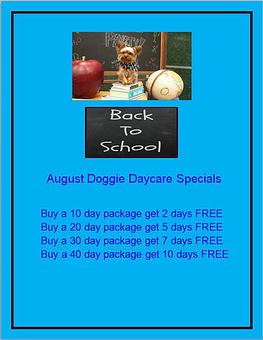 Product - Preppy Pet West Houston in Bear Creek, Colonies, Glencairn, Village News, Deerfield, Lake of Pine Forest, Windsong, Copperfield - Houston, TX Pet Care Services