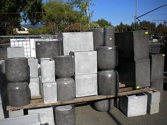 Product - Prickett's Nursery in Santa Rosa, CA Nurseries & Garden Centers