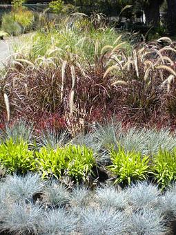 Product - Prickett's Nursery in Santa Rosa, CA Nurseries & Garden Centers