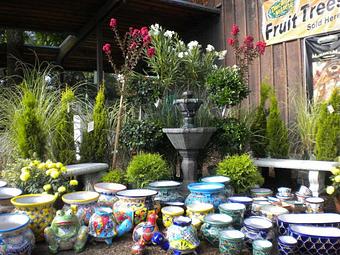 Product - Prickett's Nursery in Santa Rosa, CA Nurseries & Garden Centers