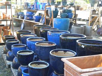 Product - Prickett's Nursery in Santa Rosa, CA Nurseries & Garden Centers
