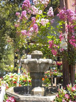Product - Prickett's Nursery in Santa Rosa, CA Nurseries & Garden Centers