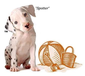 Product - Professional Carpet Systems in Superior, CO Carpet Rug & Upholstery Cleaners