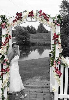 Product - PSV Photography in Doylestown, OH Misc Photographers