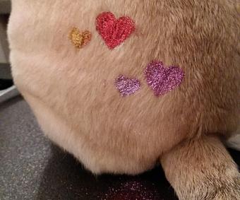 Product: Glitter Tattoo - Pure Grooming in Poway-Saber Springs-Scripps Ranch - Poway, CA Pet Boarding & Grooming