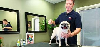 Product - Purr'n Pooch Pet Resort in Tinton Falls, NJ Pet Boarding & Grooming