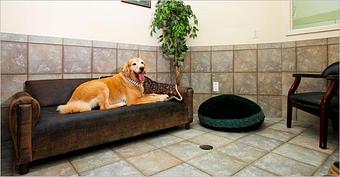 Product - Purr'n Pooch Pet Resort in Tinton Falls, NJ Pet Boarding & Grooming