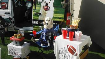 Product - Purr'n Pooch Pet Resort in Tinton Falls, NJ Pet Boarding & Grooming