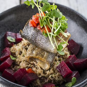 Product - Qulinarnia in Mount Prospect, IL European Cuisine