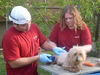 Product - R&R In Home Animal Care Service in Richardson, TX Veterinarians