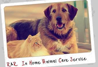 Product - R&R In Home Animal Care Service in Richardson, TX Veterinarians