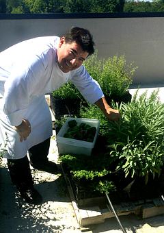 Product: Executive Francis X. Falivene in Rails rooftop garden tending to the herbs. - Rails Steakhouse in Towaco, NJ Steak House Restaurants