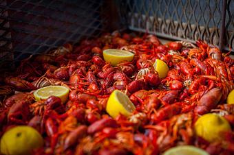 Product - Randy Montalbano's Seafood & Catering in Baton Rouge, LA Seafood Restaurants