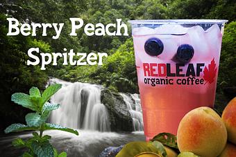 Product - Red Leaf Organic Coffee in Woodland, WA Coffee, Espresso & Tea House Restaurants