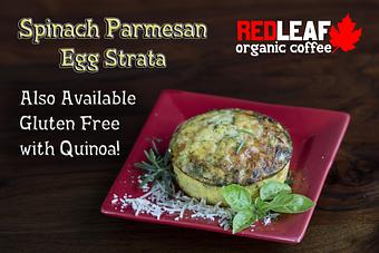 Product - Red Leaf Organic Coffee in Kelso, WA Vegan Restaurants
