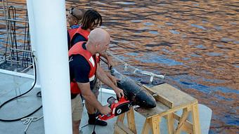 Product - Reef Seekers Dive in Beverly Hills, CA Sports & Recreational Services