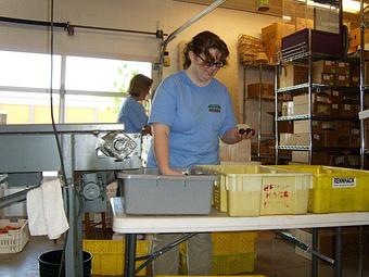 Product - Rennhack Orchards Market in Hart, MI Fruit & Vegetables